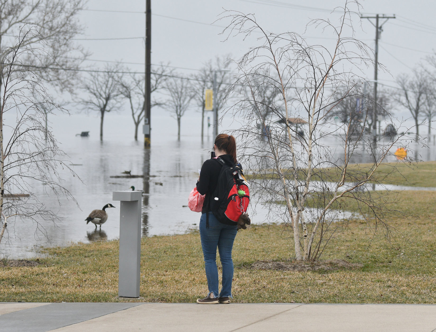 River Drive flooding in Moline
